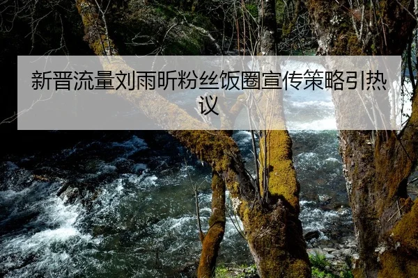 新晋流量刘雨昕粉丝饭圈宣传策略引热议